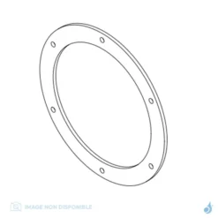 Joint Boîtes à Fumées Pour Inserts à Granulés MCZ Réf : 41401807810