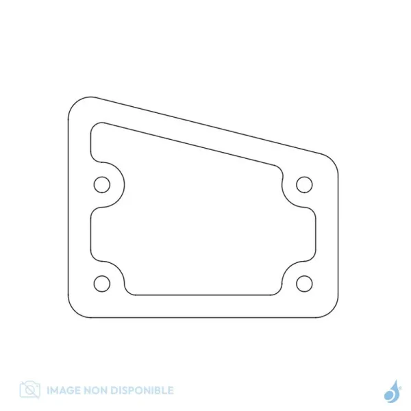 Joint Clapet Inspection Fumées Pour Inserts RED Réf : 41801802400