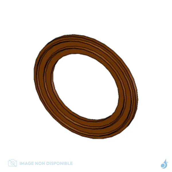 Joint Entre La Volute Et Le Raccord Fumées Pour Inserts MCZ Réf : 41801502800