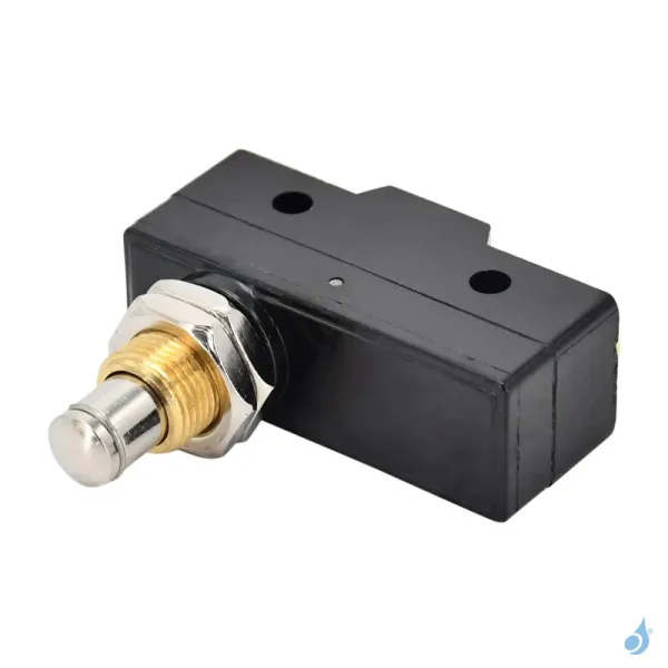 Micro-interrupteur Pour Poêles à Granulés Ravelli Réf : 55321