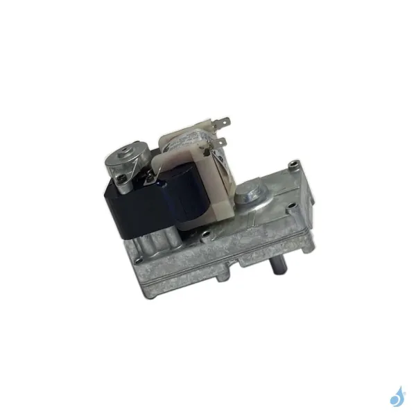 Motoréducteur Et Vis Sans Fin Brûleur Pour Poêles à Granulés Edilkamin Référence R645420