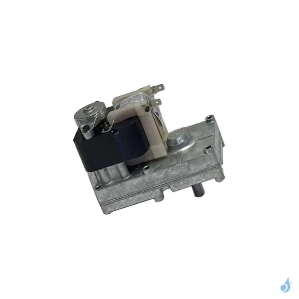 Motoréducteur Et Vis Sans Fin Réservoir Pour Poêles à Granulés Edilkamin Référence R1128800